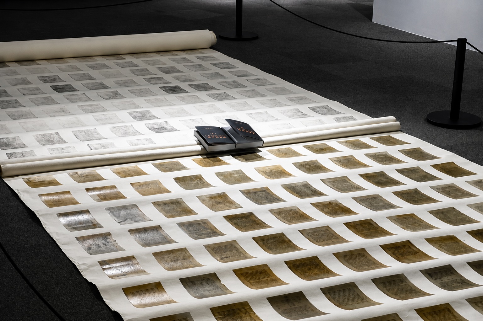 21g — Installation View 02