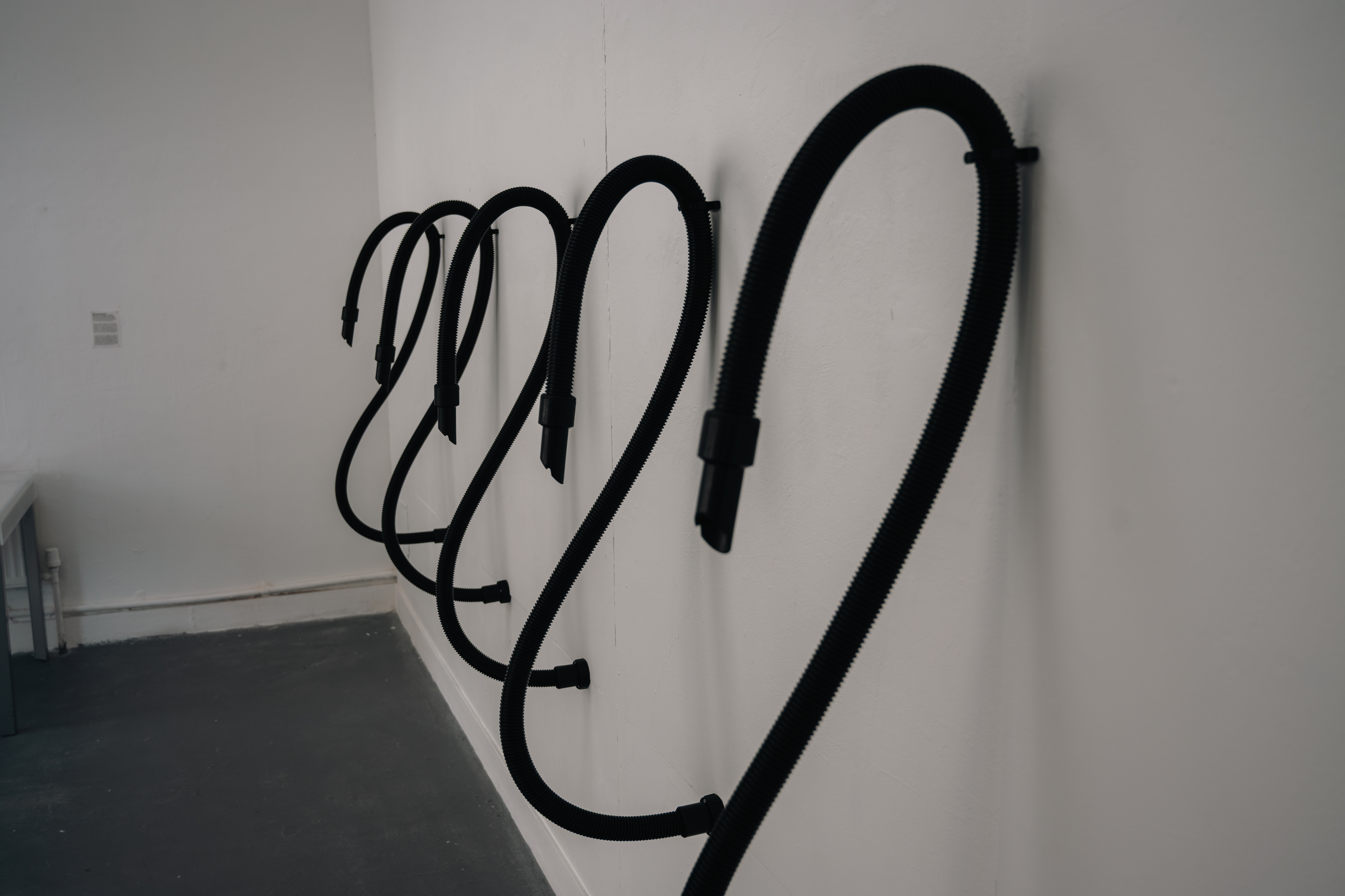 Now You See — Installation View 03