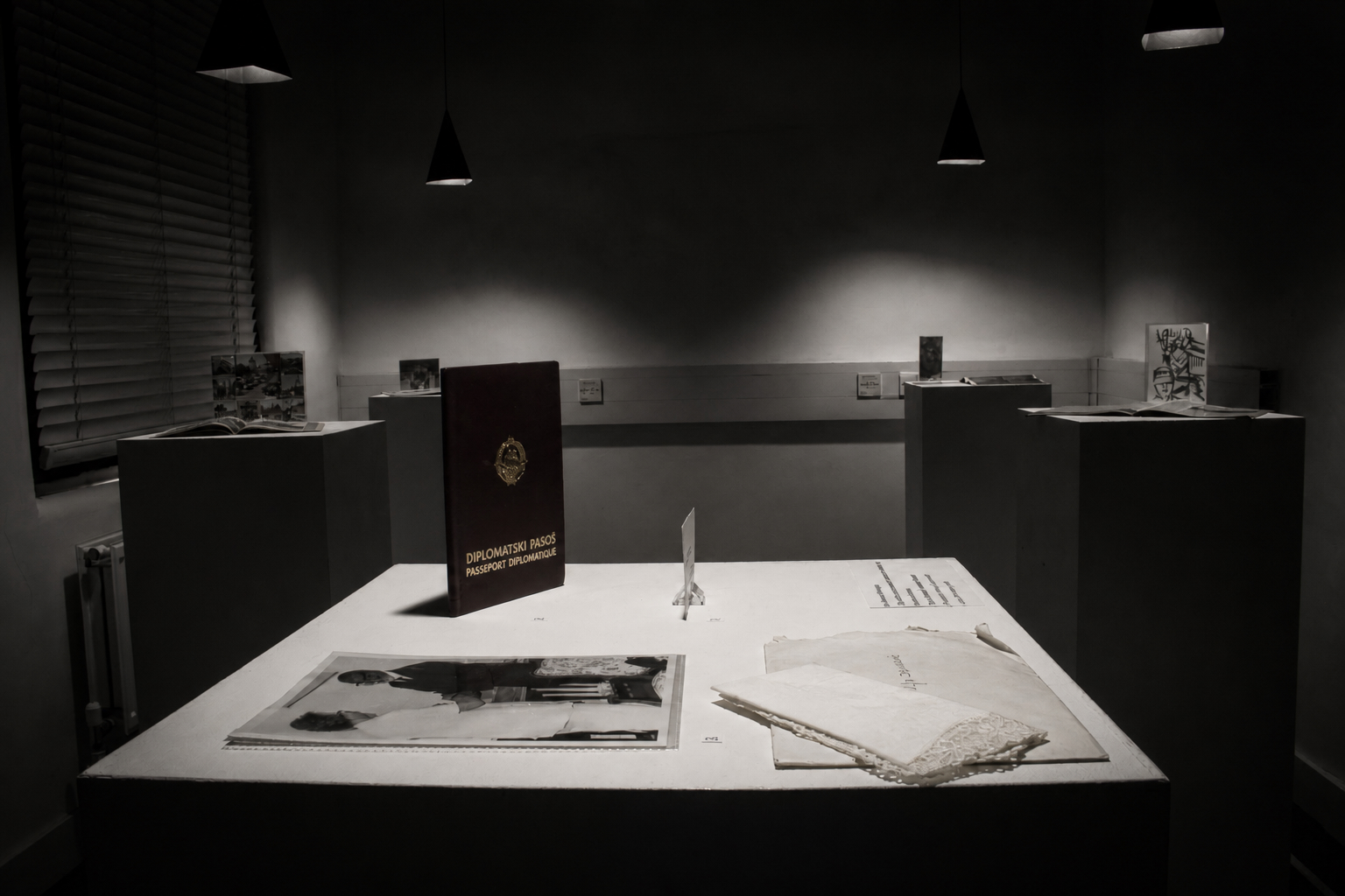 Politički Radnik Exhibition